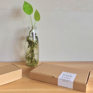 Hành trình Hương Thiền | Made by Trần Thanh Nga