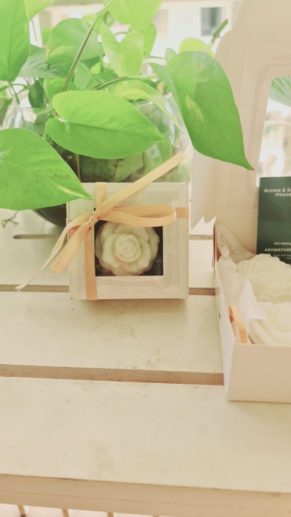 SÁP THƠM HOA MẪU ĐƠN – ZEN BOTANICAL COLLECTION