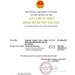 giấy phép bản quyền